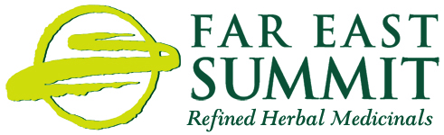 Far East Summit Logo