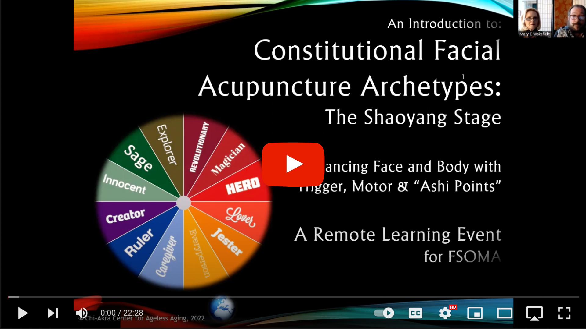 constitutional facial acupuncture video