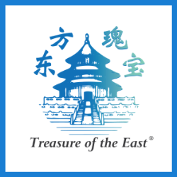 Treasure of the East Logo